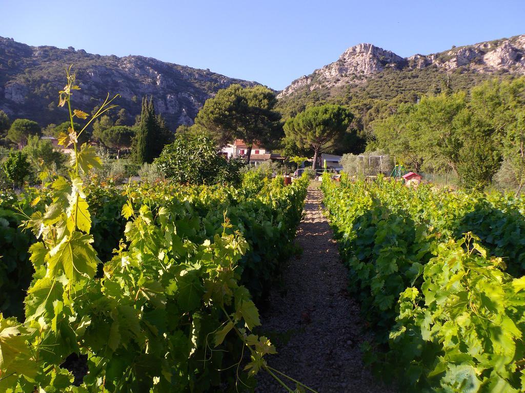 فندق Au Havre De Paix Sainte Victoire Vauvenargues المظهر الخارجي الصورة